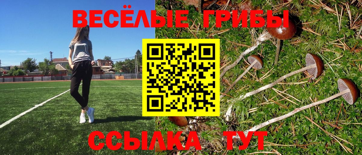Галлюциногенные грибы Psilocybine cubensis Унеча