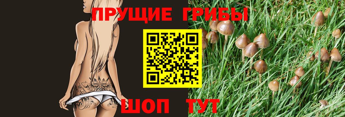 Унеча  Псилоцибиновые грибы прущие грибы  Вход с VPN 