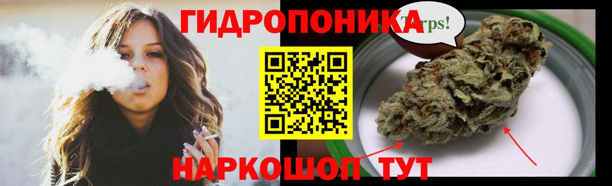 Бошки Шишки гибрид  Вход с VPN  Канабис сатива  Конопля VHQ  Унеча  Шишки марихуана марихуана 